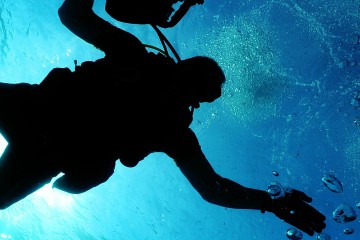 sea-79606_1920-1920x480